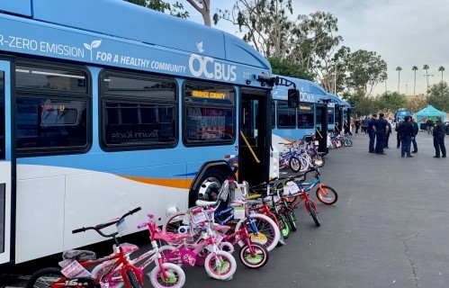 line of buses and bicycles