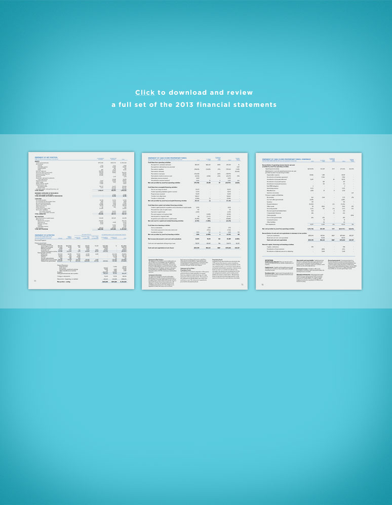 Click to download and review a full set of the 2013 financial statements