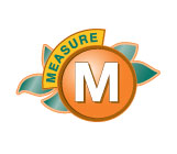 Measure M